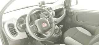 FIAT Panda usata 58