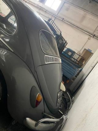 VOLKSWAGEN Maggiolone usata 3