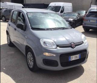FIAT Panda usata, con Airbag Passeggero