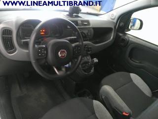 FIAT Panda usata, con Controllo trazione