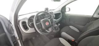 FIAT Panda usata 53