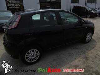 FIAT Punto usata, con Airbag Passeggero