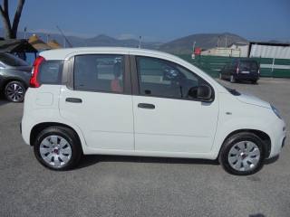 FIAT Panda usata 13