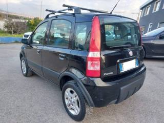 FIAT Panda usata 6