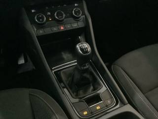SKODA Karoq usata, con ESP