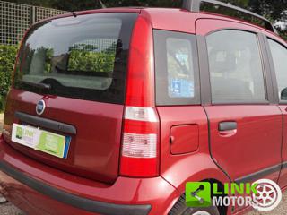 FIAT Panda usata 35