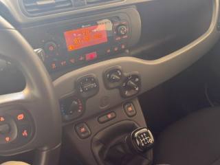 FIAT Panda usata, con Immobilizzatore elettronico