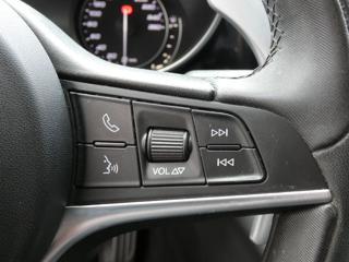 ALFA ROMEO Giulia usata, con Filtro antiparticolato