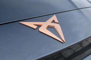 CUPRA Leon usata, con Hill holder