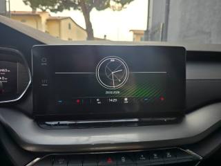 SKODA Octavia usata 141