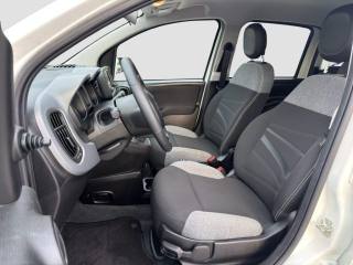 FIAT Panda usata 9
