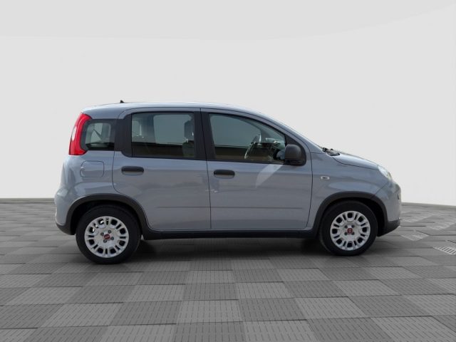 FIAT Panda usata 5