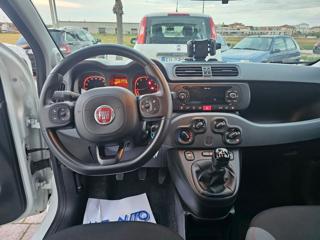 FIAT Panda usata, con Streaming musicale integrato