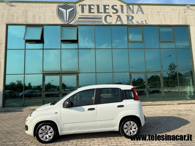 FIAT Panda usata 3