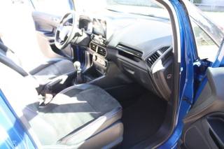 FORD EcoSport usata, con Sensori di parcheggio posteriori