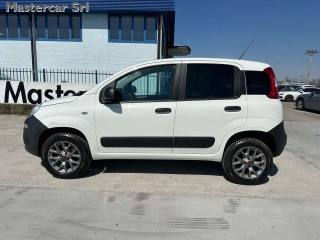 FIAT Panda usata, con Airbag laterali