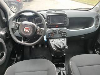 FIAT Panda Cross usata, con Cronologia tagliandi