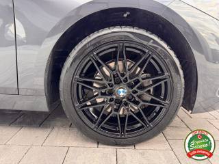 BMW 116 usata, con Controllo automatico clima