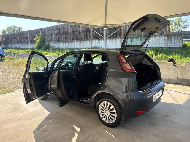 FIAT Punto usata 41