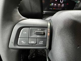 CITROEN C4 usata, con Airbag testa