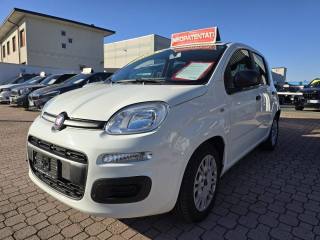 FIAT Panda 1.0 FireFly S&S Hybrid Garanzia Fiat fino al 2031