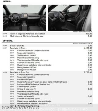 BMW X1 usata 38