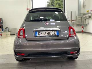 FIAT 500 usata, con Tetto panorama