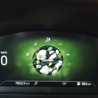 FORD Puma usata, con Vetri oscurati