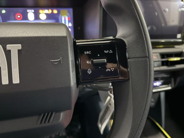 FIAT Grande Panda usata, con ESP