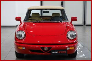 ALFA ROMEO Spider usata, con Cerchi in lega