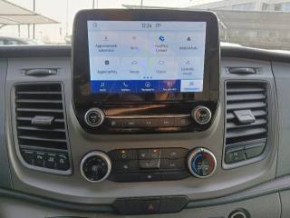 FORD Transit Custom usata, con Cruise Control
