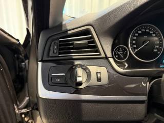 BMW 530 usata, con Cruise Control