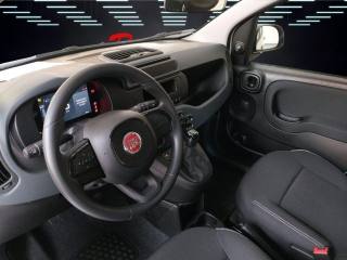 FIAT Panda usata 8
