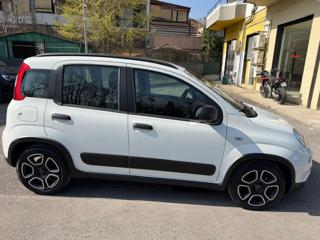 FIAT Panda usata, con Airbag Passeggero