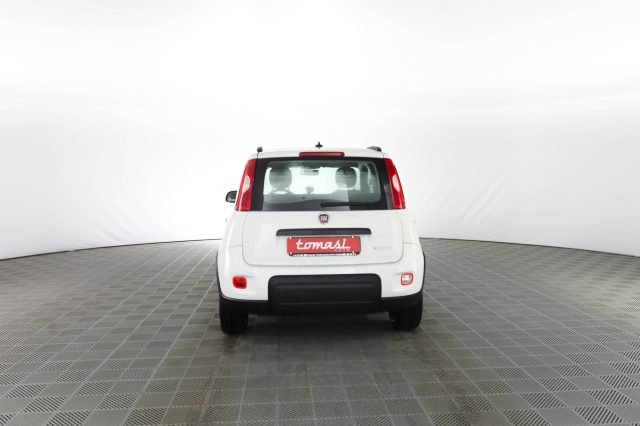 FIAT Panda usata 4