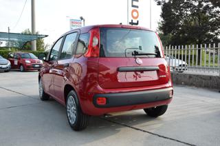 FIAT Panda usata, con Alzacristalli elettrici
