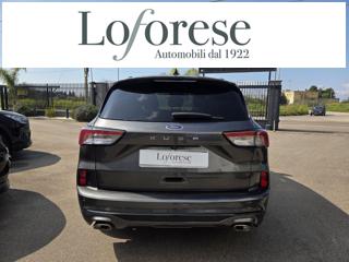 FORD Kuga usata, con Airbag Passeggero