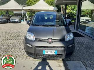 FIAT Panda usata, con ESP