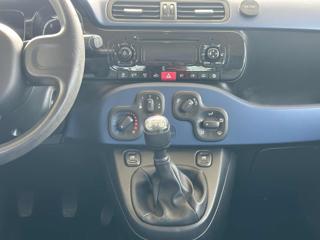 FIAT Panda usata 25