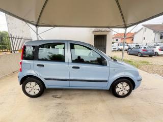 FIAT Panda usata, con Fendinebbia