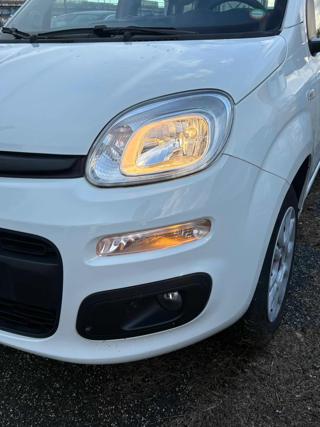 FIAT Panda usata 19