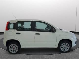 FIAT Panda usata 18