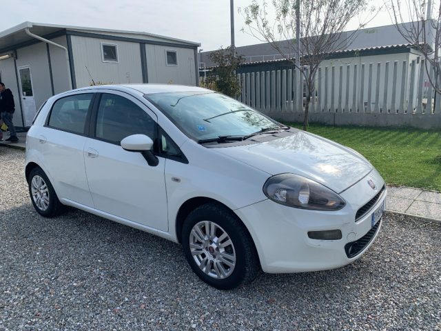 FIAT Punto usata, con Airbag Passeggero