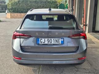SKODA Octavia usata 83