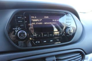 FIAT Tipo usata, con Specchietti laterali elettrici