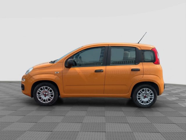FIAT Panda usata 1