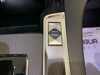 DS AUTOMOBILES DS 7 usata, con Chiusura centralizzata telecomandata