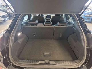 FORD Puma usata, con Fendinebbia