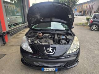 PEUGEOT 206 usata 66