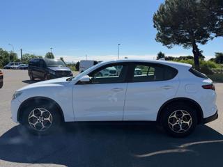 ALFA ROMEO Stelvio usata, con Climatizzatore